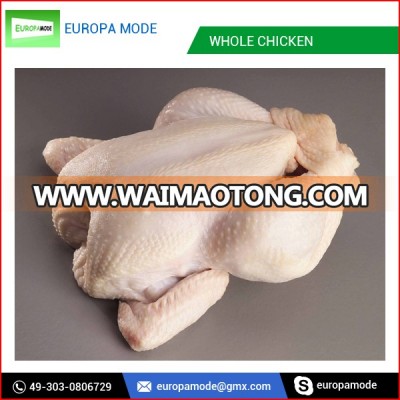 Cheap Brazilian Whole Halal Frozen Chicken for Sale